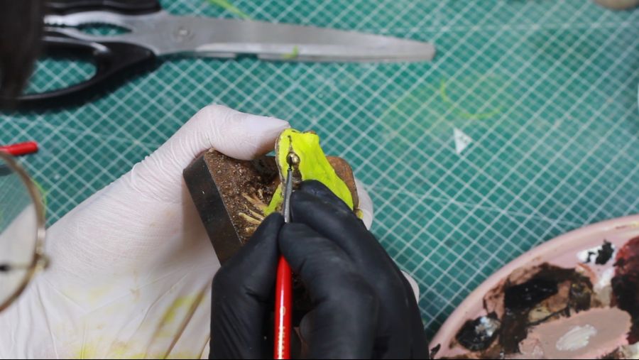 조형작가의 청개구리 피규어 만들기 과정!_12.jpg