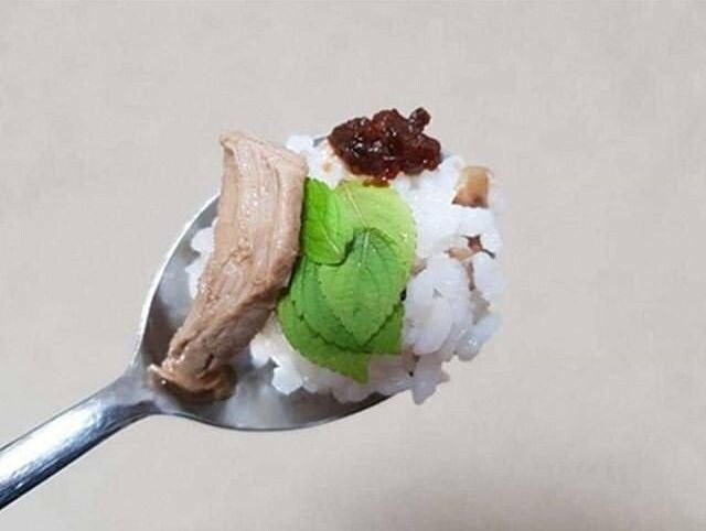 깻잎 씨앗 심은 후기.jpg_3.jpg