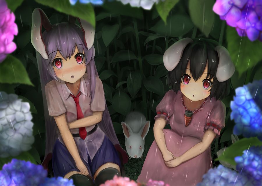 __inaba_tewi_and_reisen_udongein_inaba_touhou_drawn_by_luke_kyeftss__6bb4801a202948ab61d4f9049c907a3d.jpg