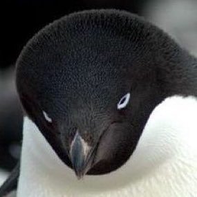 [데이터주의] 내 폰 갤러리에 짤방으로 모아둔 것들_2.jpg