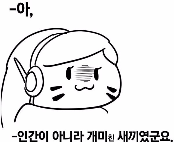 [데이터주의] 내 폰 갤러리에 짤방으로 모아둔 것들_75.jpg