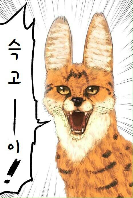 [데이터주의] 내 폰 갤러리에 짤방으로 모아둔 것들_115.jpg