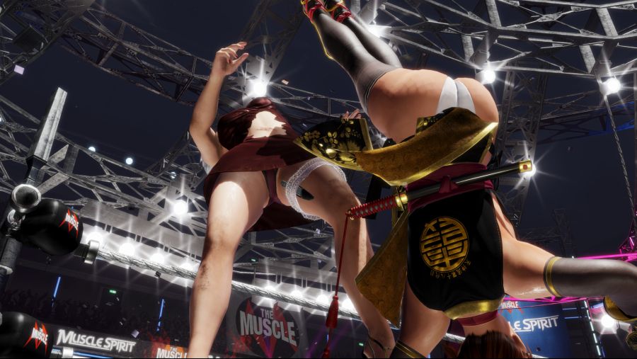 DEAD OR ALIVE 6 Core Fighters (9).png