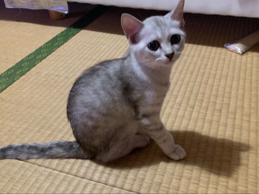 KakaoTalk_20190910_150449037.jpg