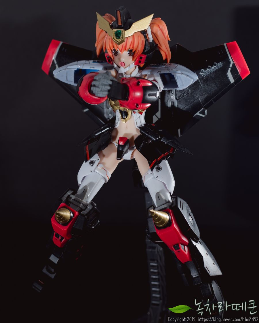 [고토]크로스프레임걸 가오가이거 리뷰_17.jpg