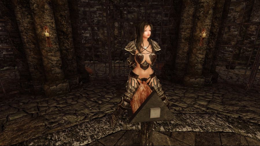 이것저것 스카이림_2.jpg