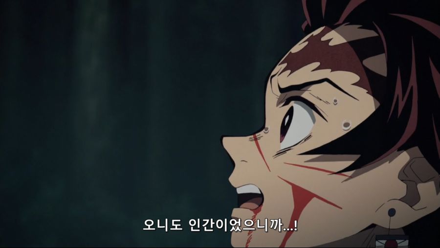 귀멸의 칼날 - 인간을 해친 오니이기에 베고 한때 인간이었기에 동정심을 품는다._13.jpg