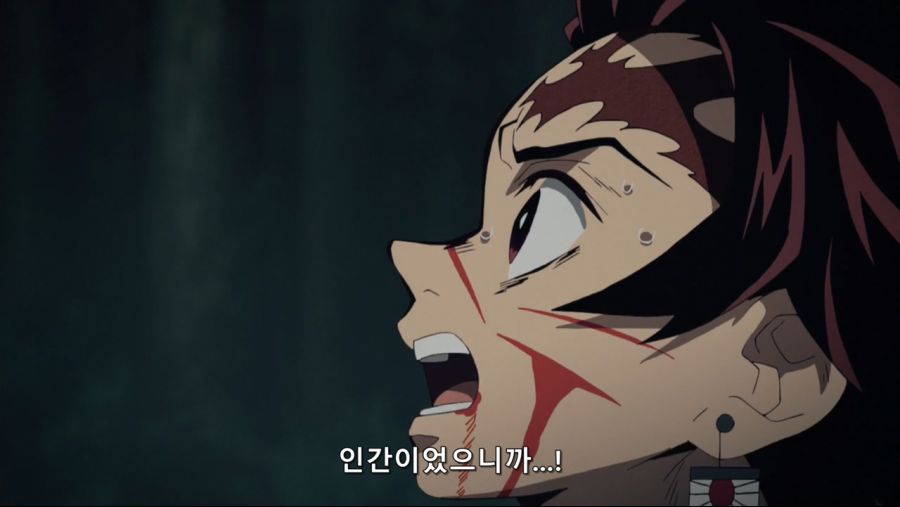 귀멸의 칼날 - 인간을 해친 오니이기에 베고 한때 인간이었기에 동정심을 품는다._15.jpg