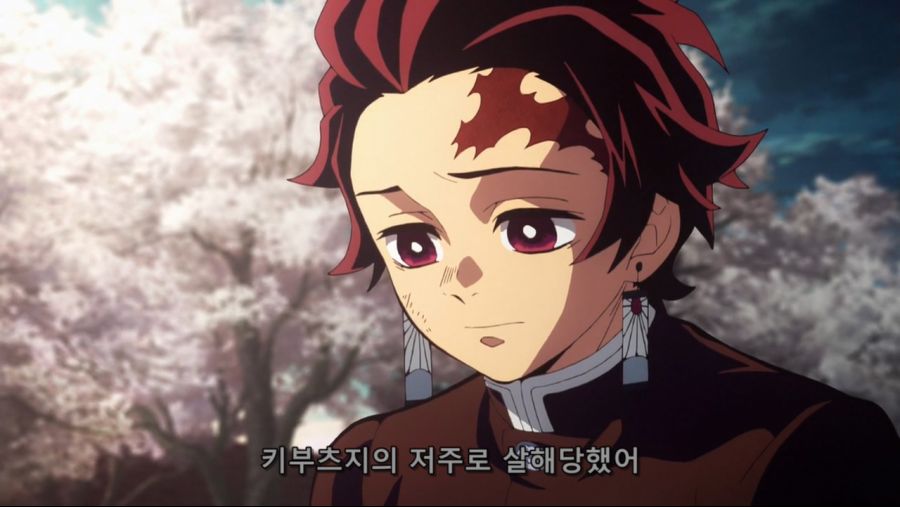 귀멸의 칼날 - 인간을 해친 오니이기에 베고 한때 인간이었기에 동정심을 품는다._36.jpg