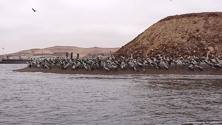 페루 여행기 - 그림과 모래와 새_45.jpg