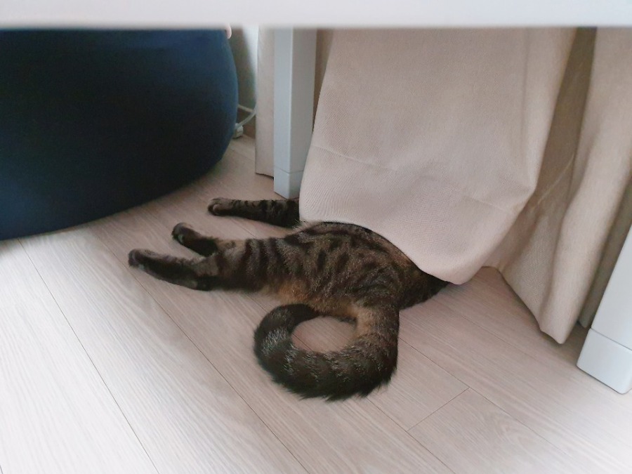 KakaoTalk_20190930_134206648_03.jpg