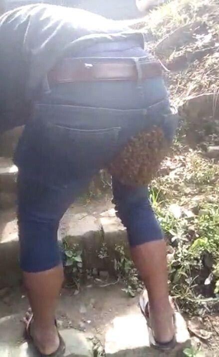 벌집똥꼬_2.jpg