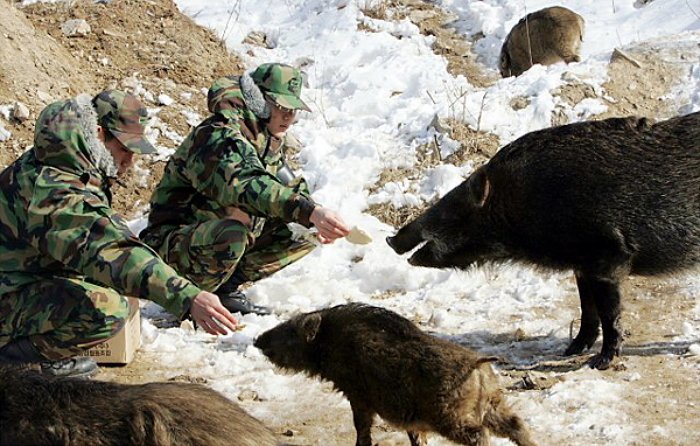 외국인들이 한국 오면 놀라는것_1.jpeg