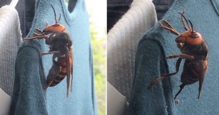 외국인들이 한국 오면 놀라는것_5.jpeg