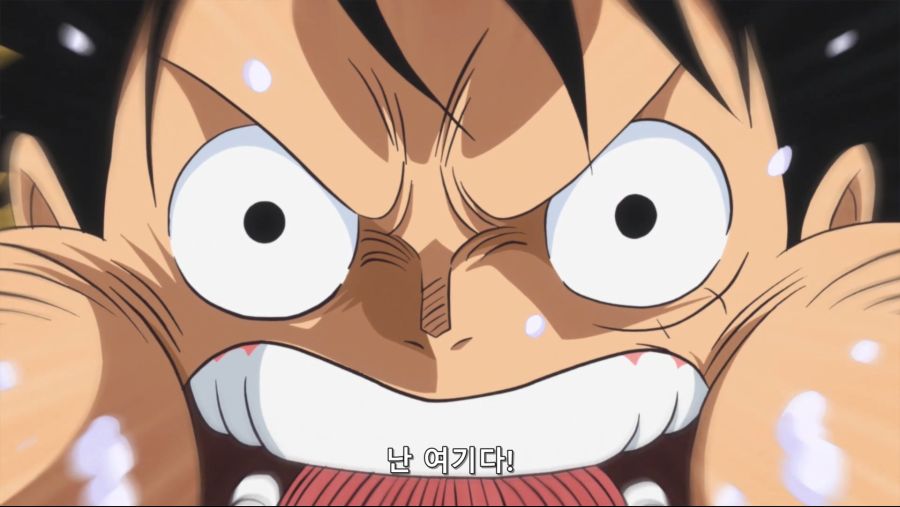 [네코상] One Piece - 833 (TVA 1920x1080 x264 AAC).mkv_20191012_080023.162.jpg