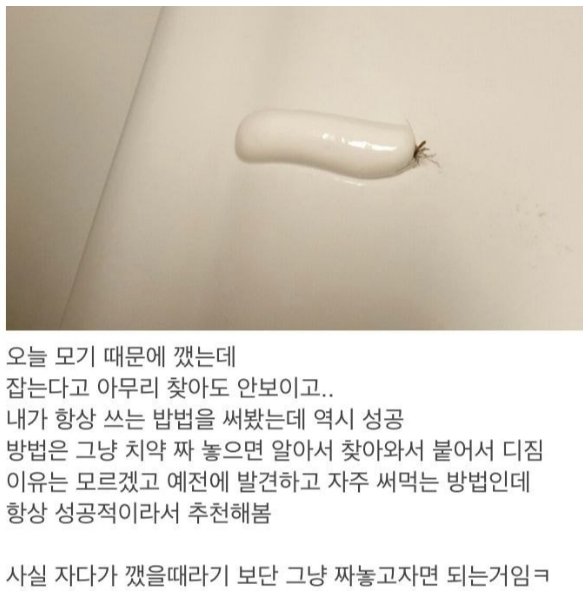 수면전 모기 대처법_1.png