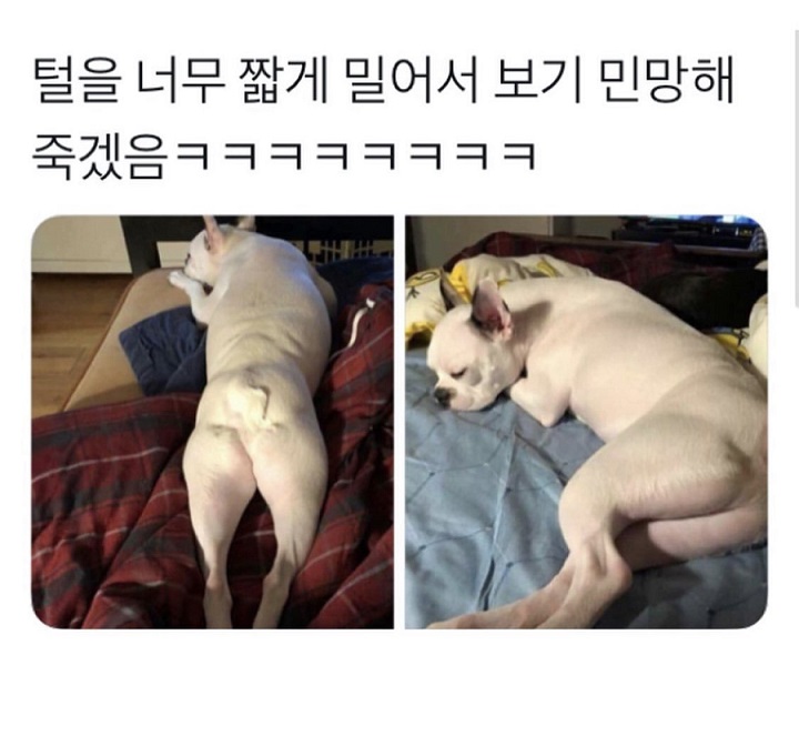 섹시한 뒷태.jpg