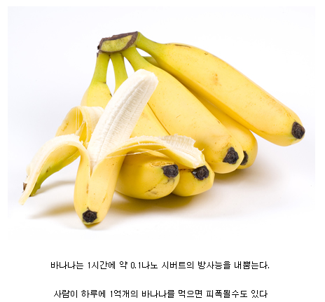 바나나의 위험성.png