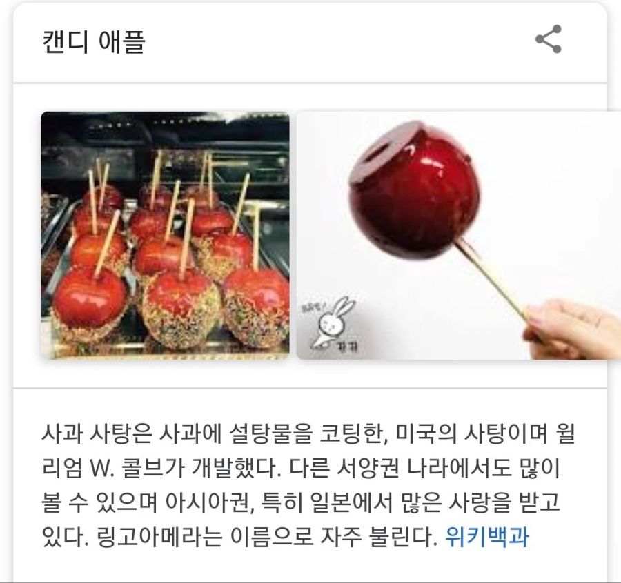 일본매체에 자주 나오는 링고아메의 정체