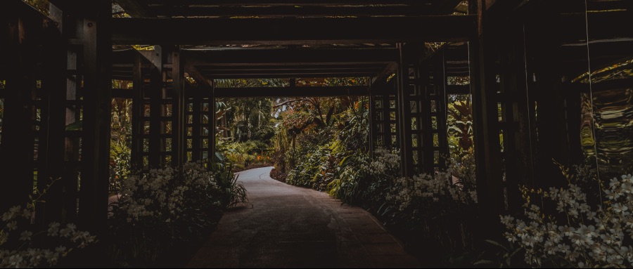 F1(패독클럽) 싱가포르 여행 후기 -스크롤 용량 주의-_4.jpg