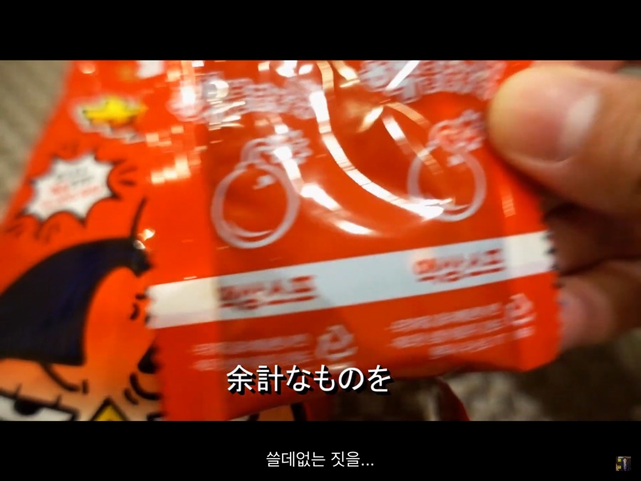 "한국인은 정도를 모르나" 의 짤 일본인 진짜 근황_20.png