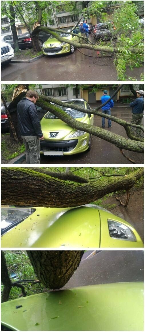 「어이, 어째서 피하지 않았지?_1.jpg