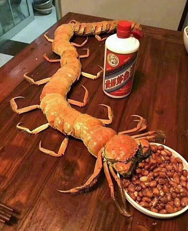 *저주받은 이미지들* 27편 (특)_2.jpeg