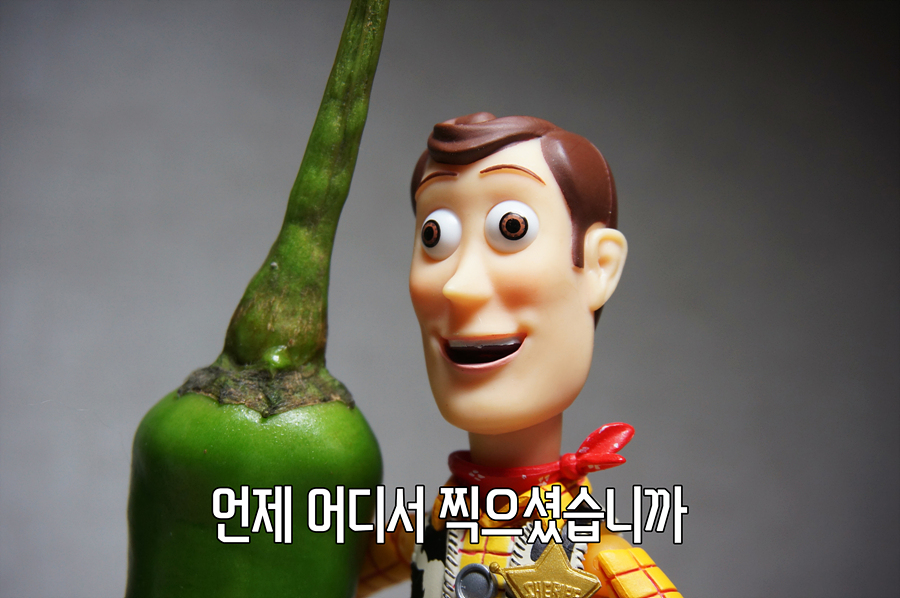 미쳤습니까 휴먼?_4.jpg