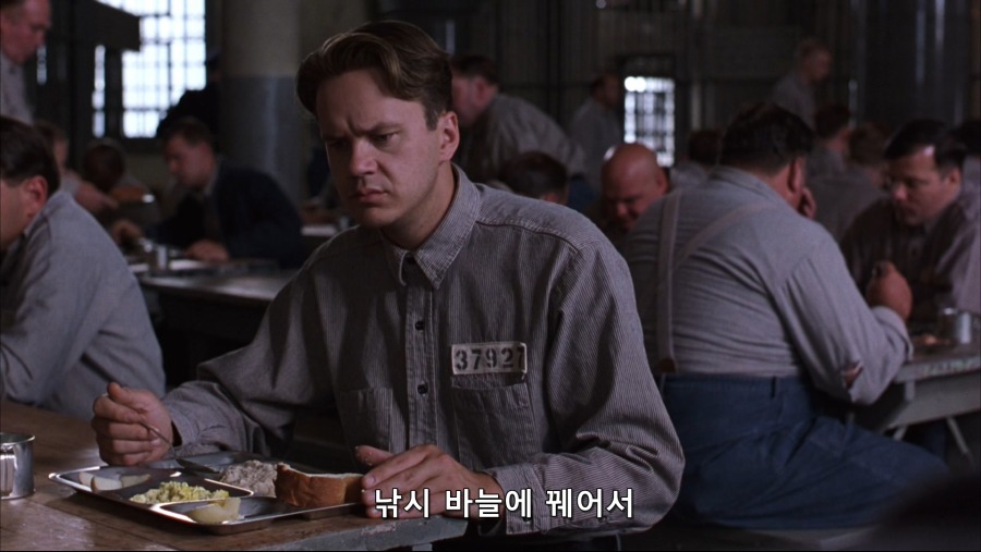 The.Shawshank.Redemption.1994.Bluray.1080p.TrueHD.x264-Grym.mkv_20191103_231319.633.jpg