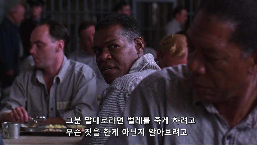 The.Shawshank.Redemption.1994.Bluray.1080p.TrueHD.x264-Grym.mkv_20191103_231419.241.jpg