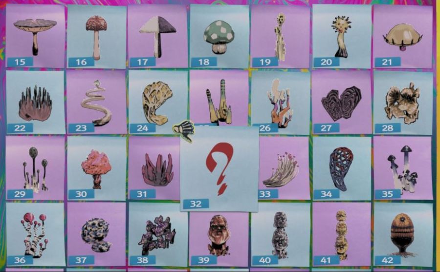 버섯 이거 하나 남았는데 몰 죽여야 나오는 버섯인가요? 알려주세요~_1.jpg