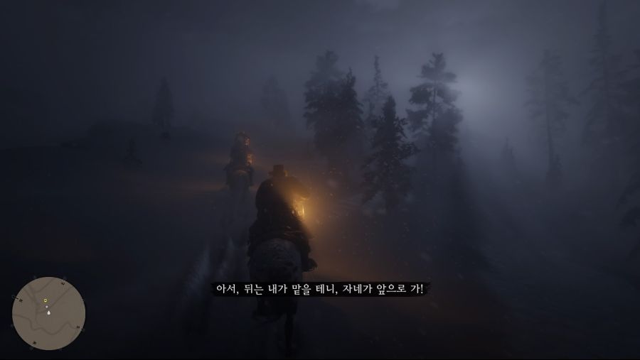 Red Dead Redemption 2_20191106224728.jpg