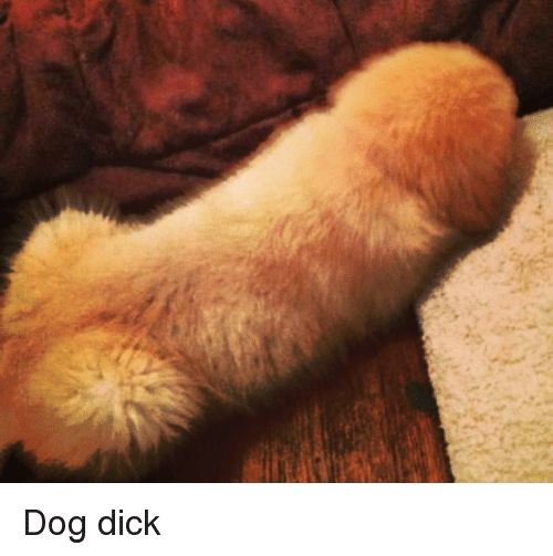 dog-dick-19938458.png