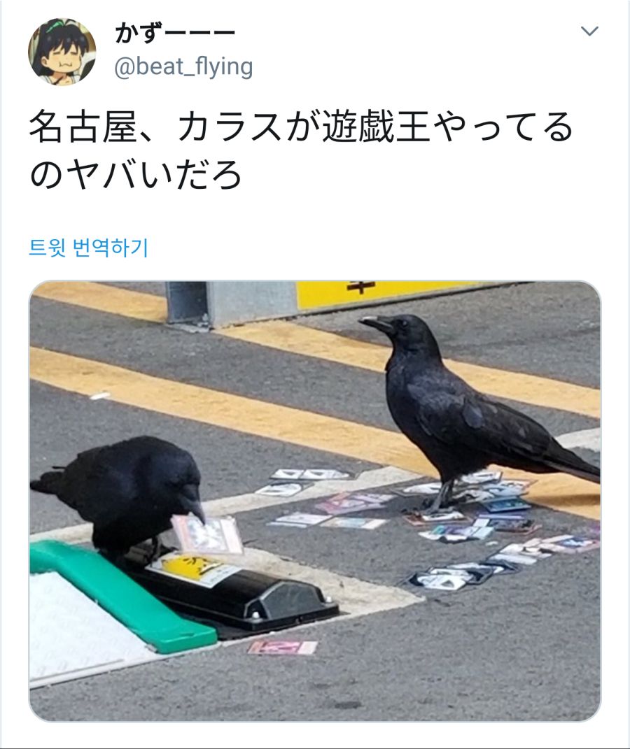 karasu.png