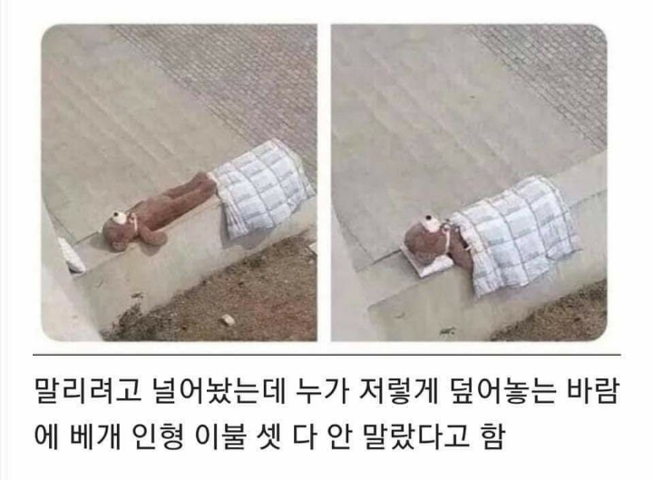 오지랖때문에 망함_jpg_1.png