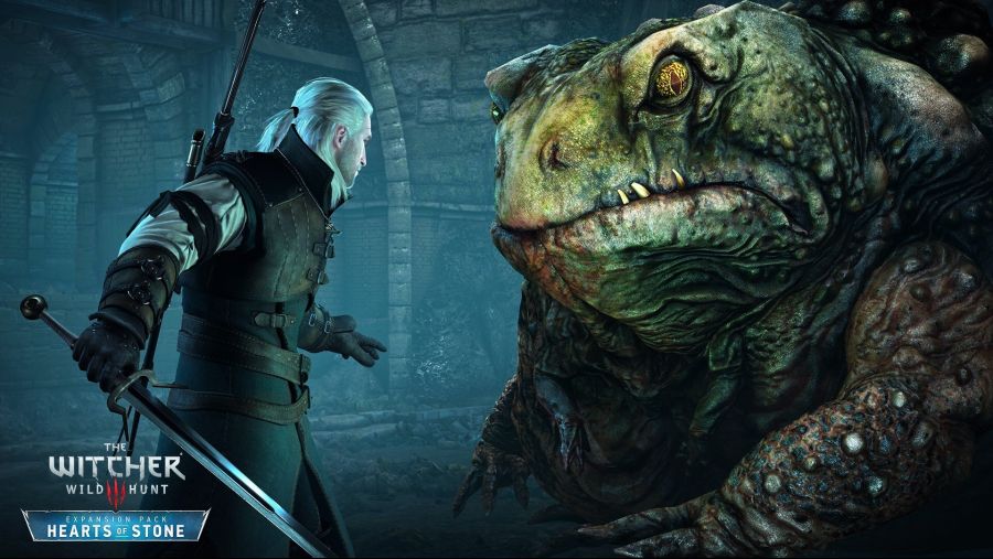 The-Witcher-3-Wild-Hunt-prince-toad_1920x1080.jpg