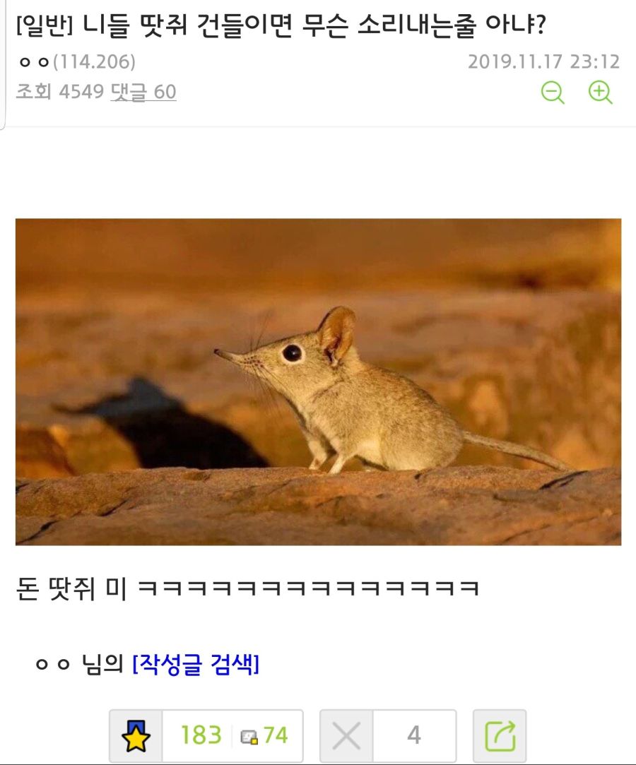 돈 땃쥐 미 Lol 루리웹 이야기 게시판 루리웹