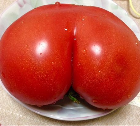 갈등으로 더럽혀진 유게 엉덩이로 정화한다!_4.jpg