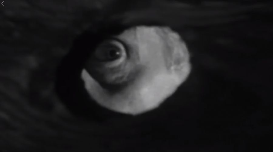 백종원 권총 근황.jpg_4.png