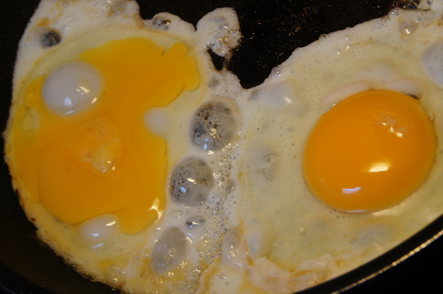 broken-egg-yolk.jpg