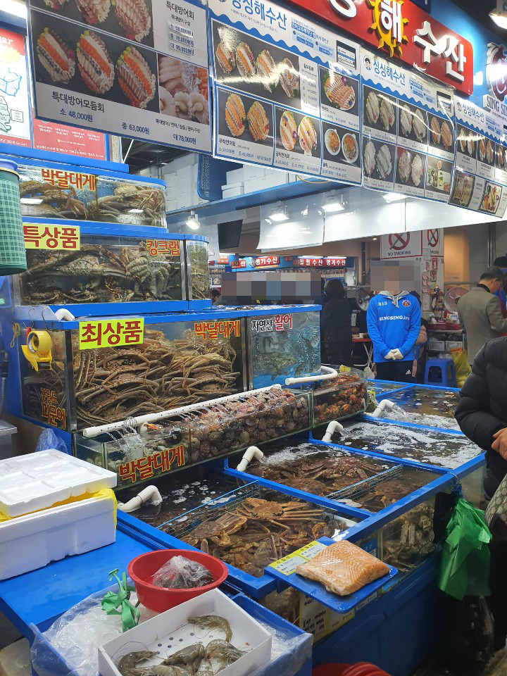 가락시장에서 회 한접시 | 음식 갤러리 | 루리웹 모바일 가락시장에서 회 한접시 | 음식 갤러리