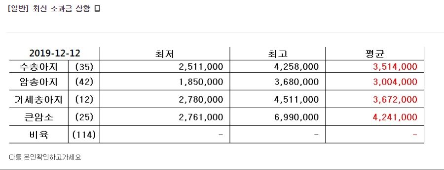 축제가 열린 한그오 근황.jpg_9.png