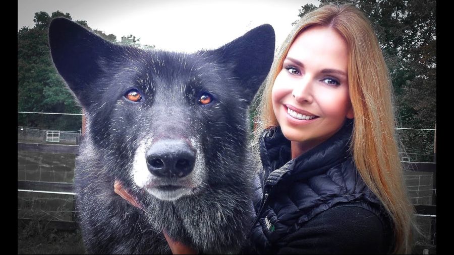 강형욱이 교육을 거부하는 울프독의 모습_3.jpg