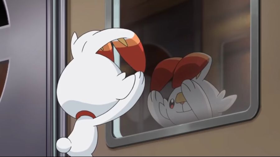 [포켓몬스터 2019] 귀요미 염버니_1.jpg