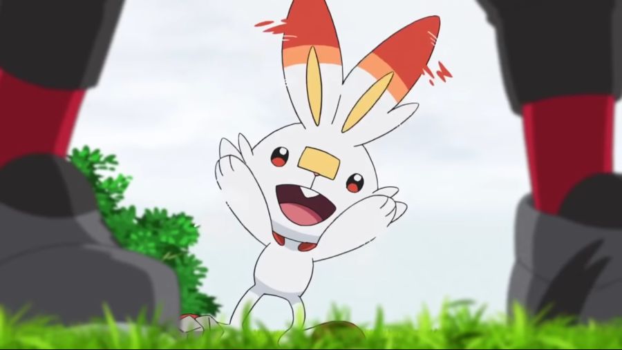 [포켓몬스터 2019] 귀요미 염버니_6.jpg