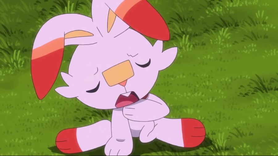 [포켓몬스터 2019] 귀요미 염버니_14.jpg