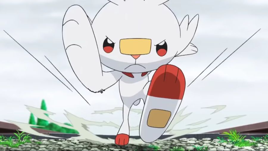 [포켓몬스터 2019] 귀요미 염버니_24.jpg