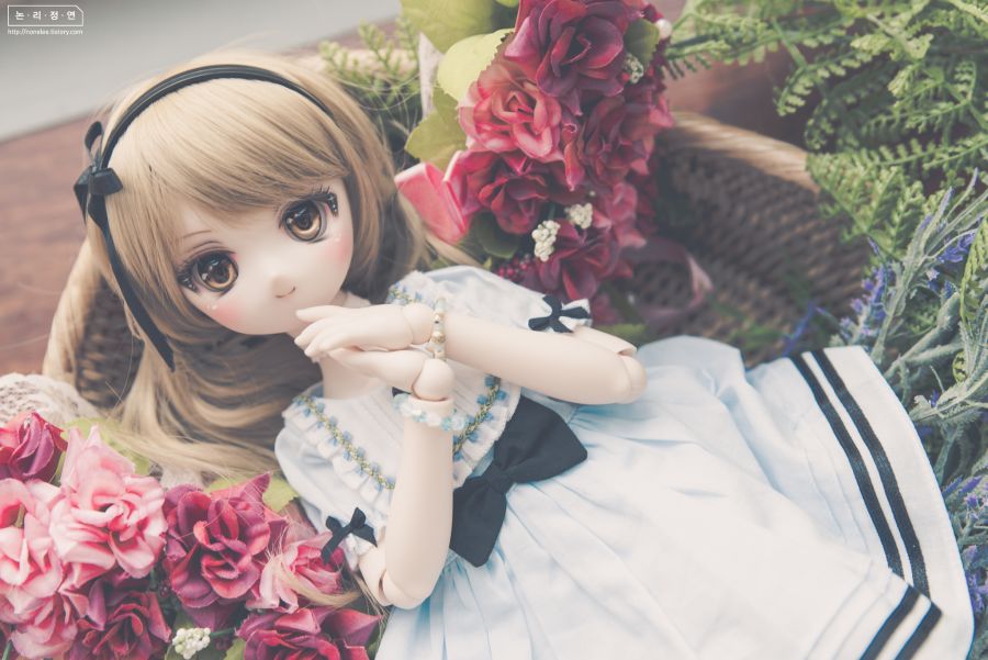 2019 인형사진 연말결산(초스압)_38.jpg