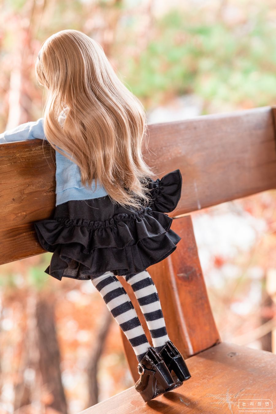 2019 인형사진 연말결산(초스압)_71.jpg