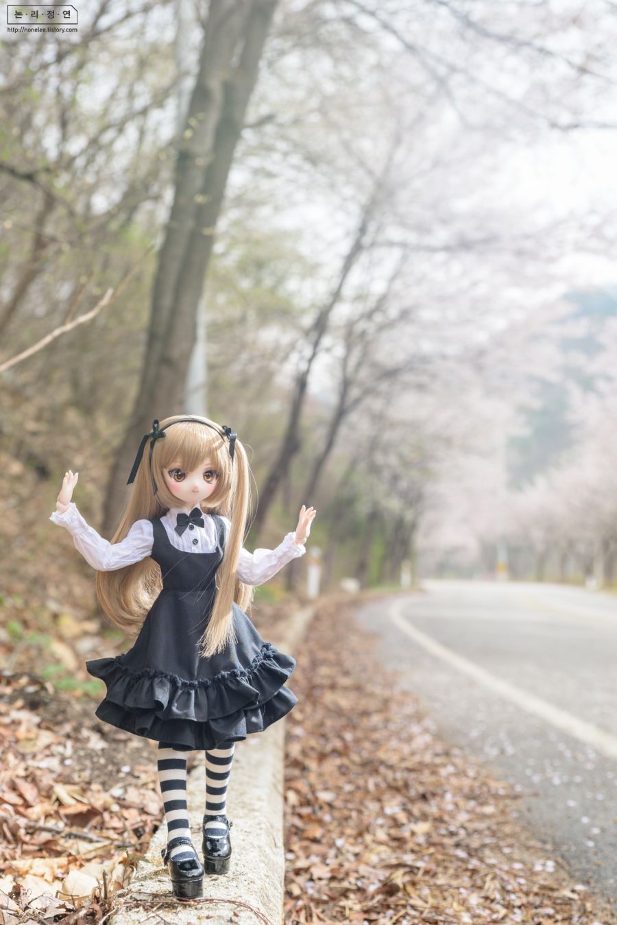 2019 인형사진 연말결산(초스압)_36.jpg